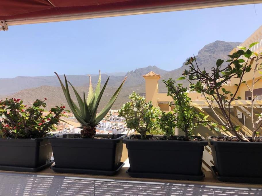 Apartamento Con Impresionantes Vistas Y Piscina أذيخي المظهر الخارجي الصورة